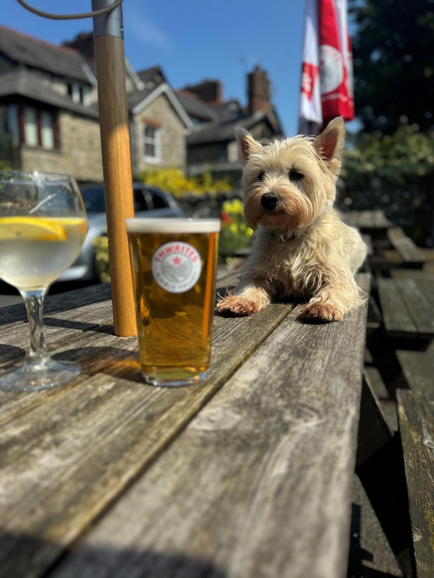 Craven Heifer Hotel Ingleton Kültér fotó
